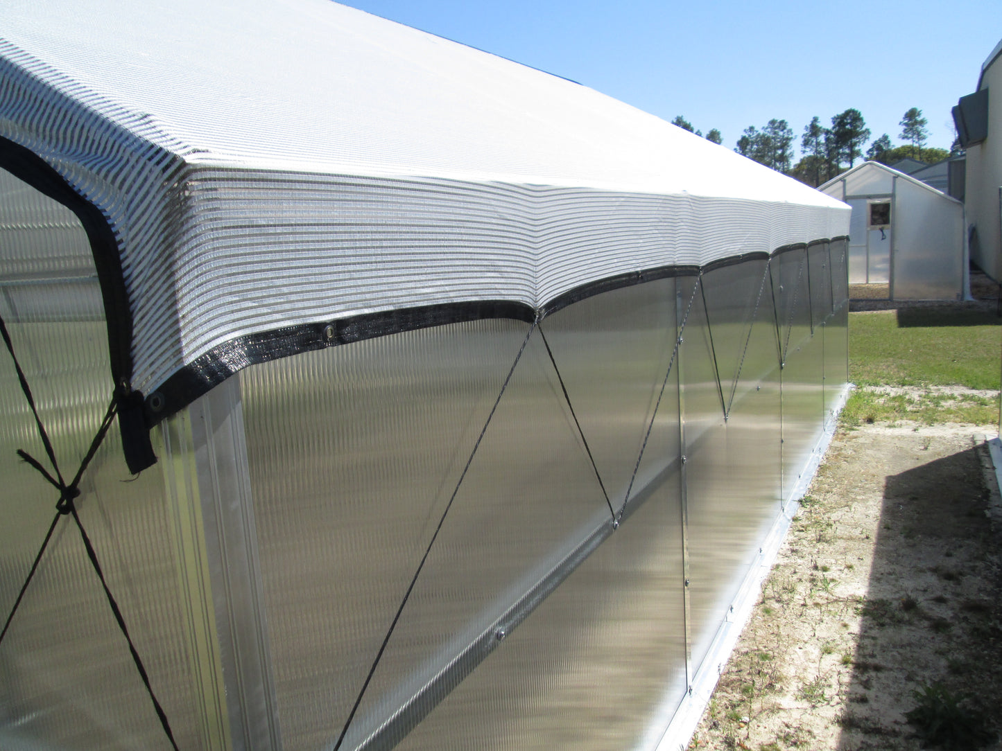 Whitney - Premium Grower's Edition - Educational Greenhouse Kit With 8FT High Walls