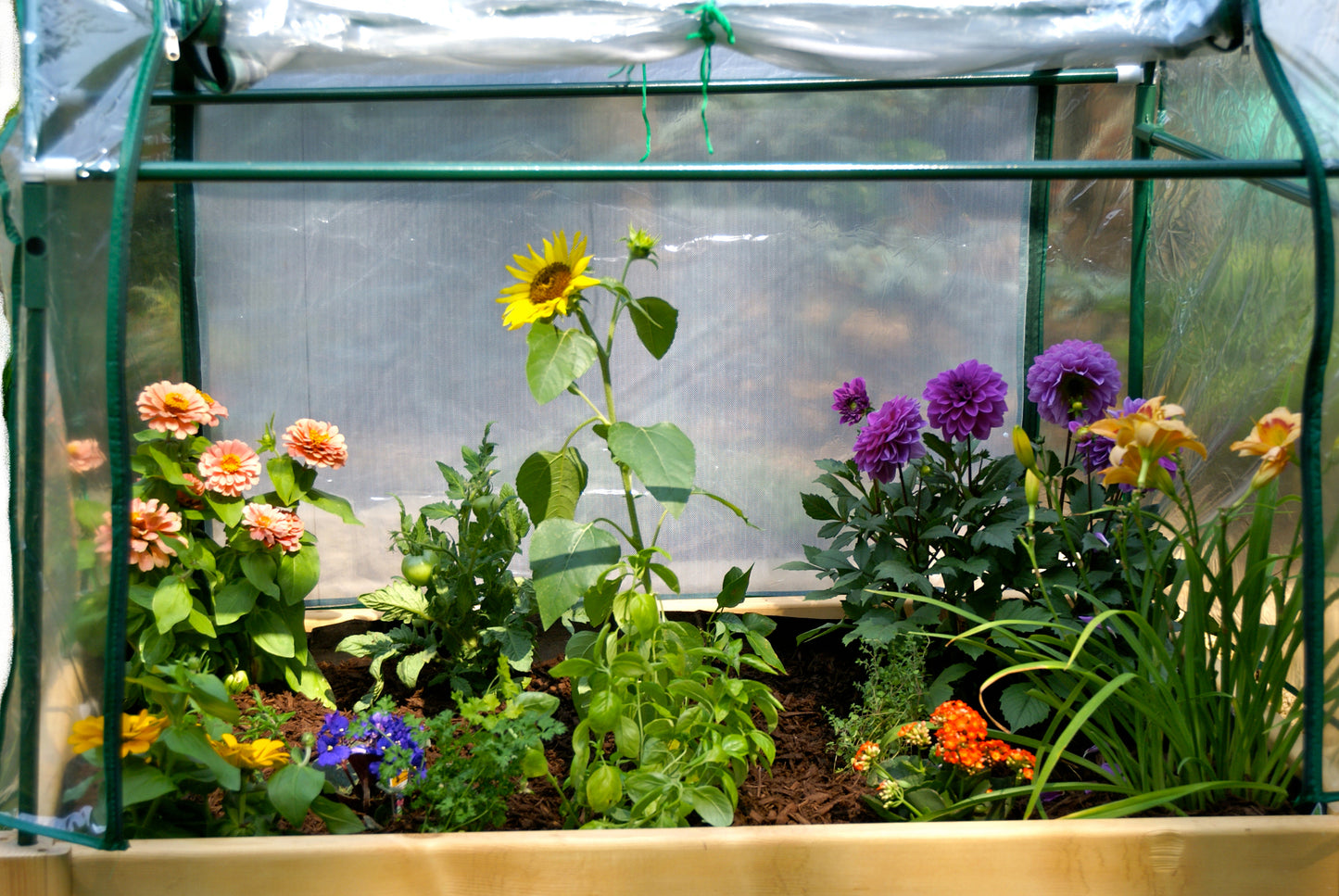 EDEN Raised Garden Table