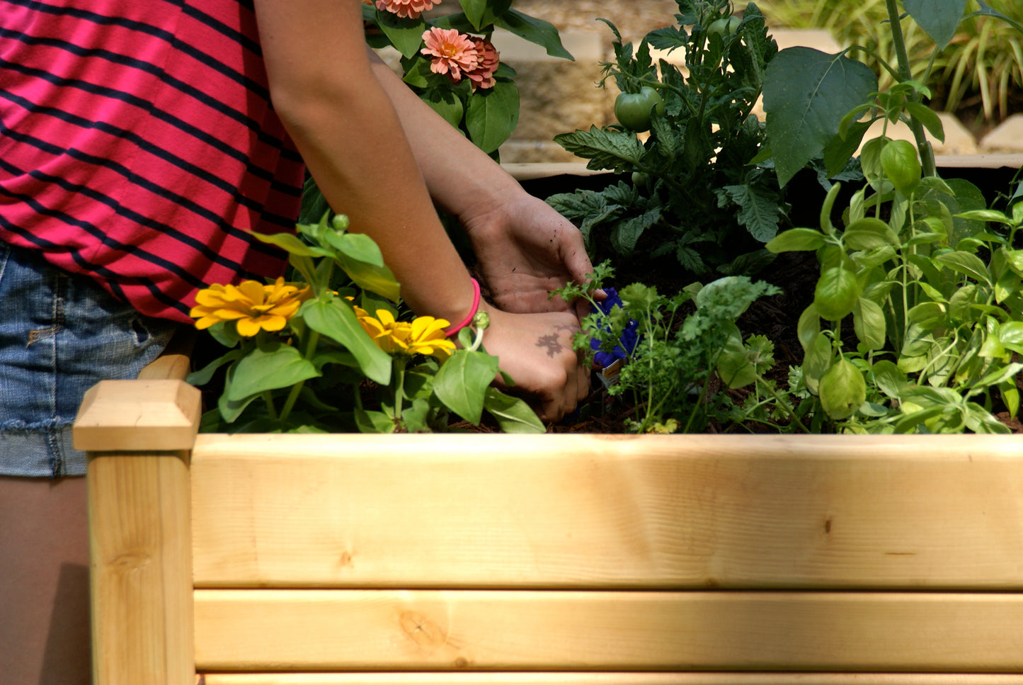 EDEN Raised Garden Table