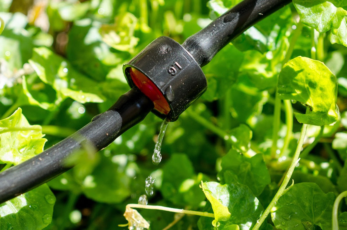 GENESIS 48FT Greenhouse Dripper Kit