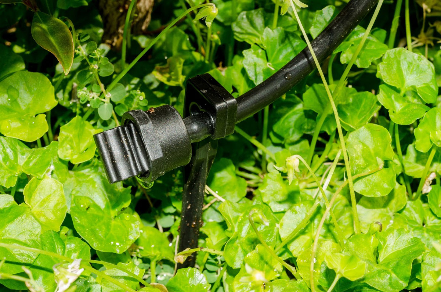 GENESIS 48FT Greenhouse Dripper Kit