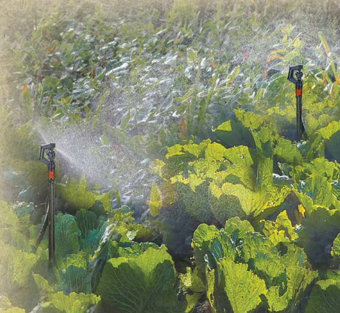 GENESIS 20FT Micro Sprinkler Watering System