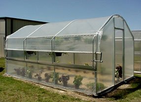 Carver Poly Educational Greenhouse Kit