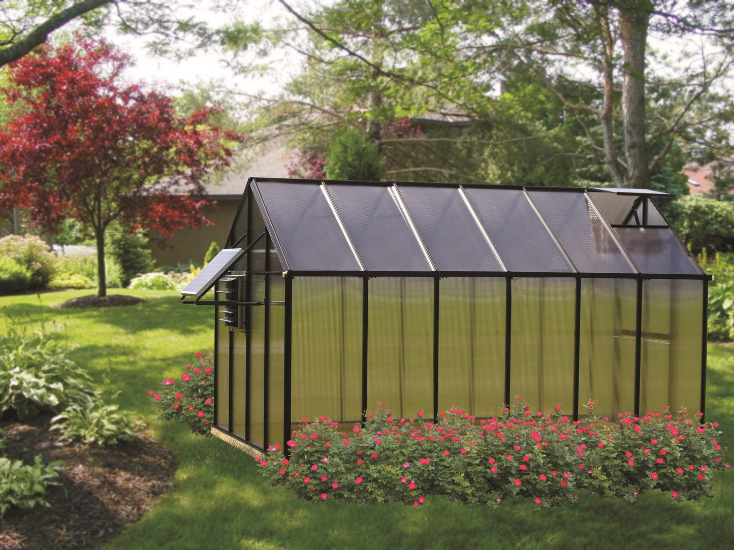 MONT Mojave Edition Black Finish Greenhouse with Heater