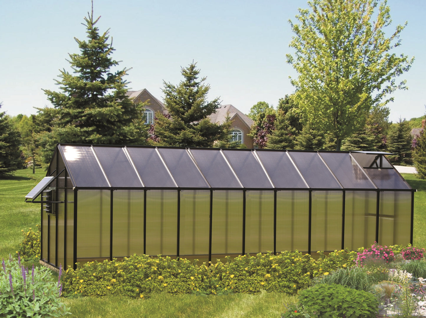 MONT Mojave Edition Black Finish Greenhouse with Heater