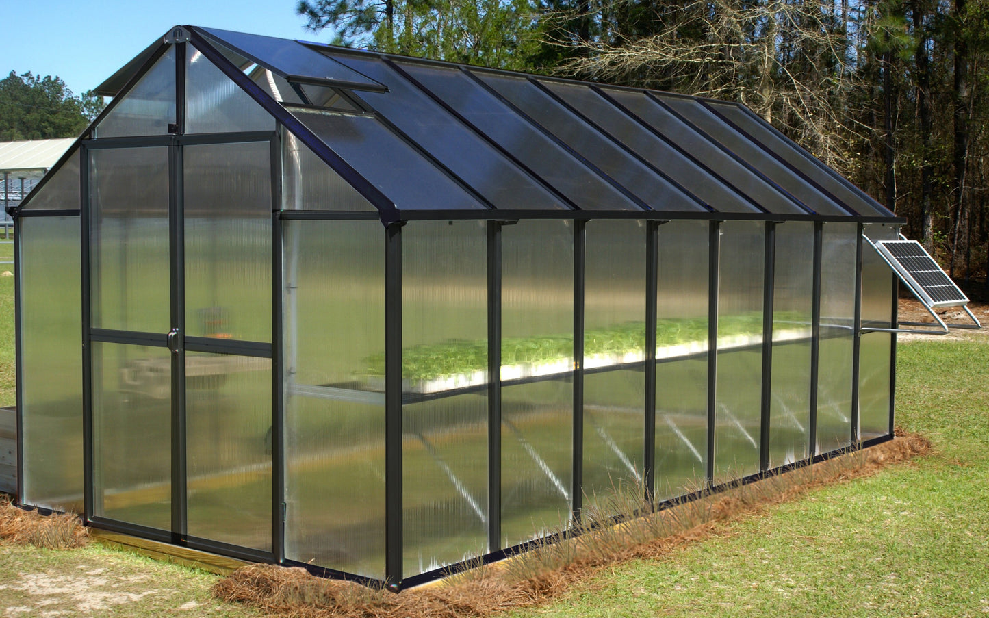 MONT Mojave Edition Black Finish Greenhouse with Heater