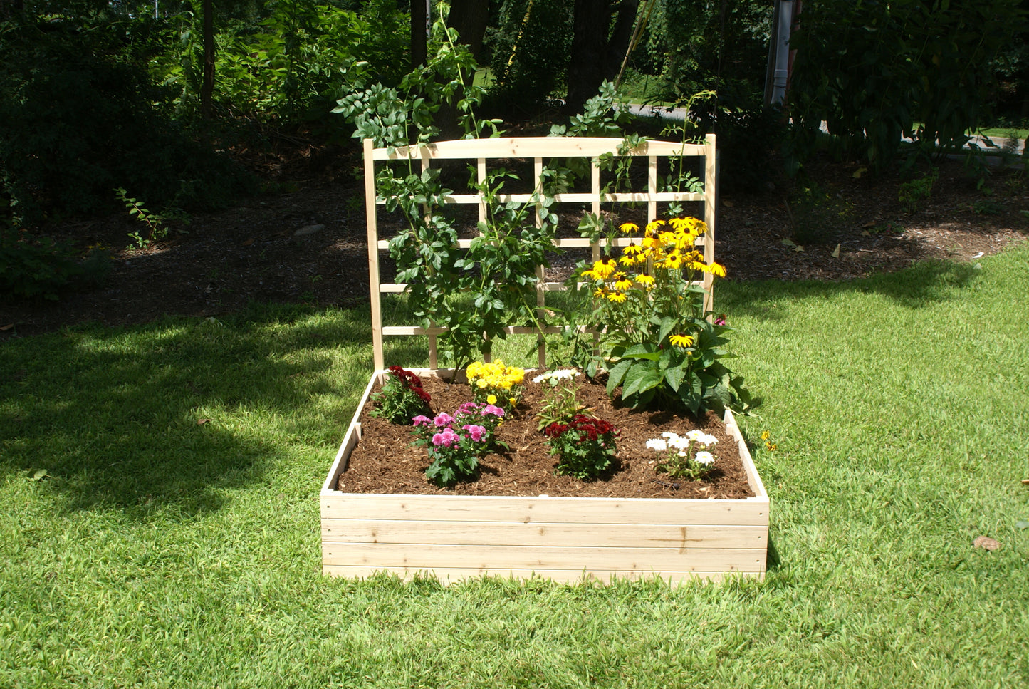 EDEN Raised Garden Bed with Trellis